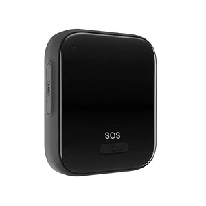 Buy Pet GPS Tracker Real-Time Tracking Sekyo Innovation