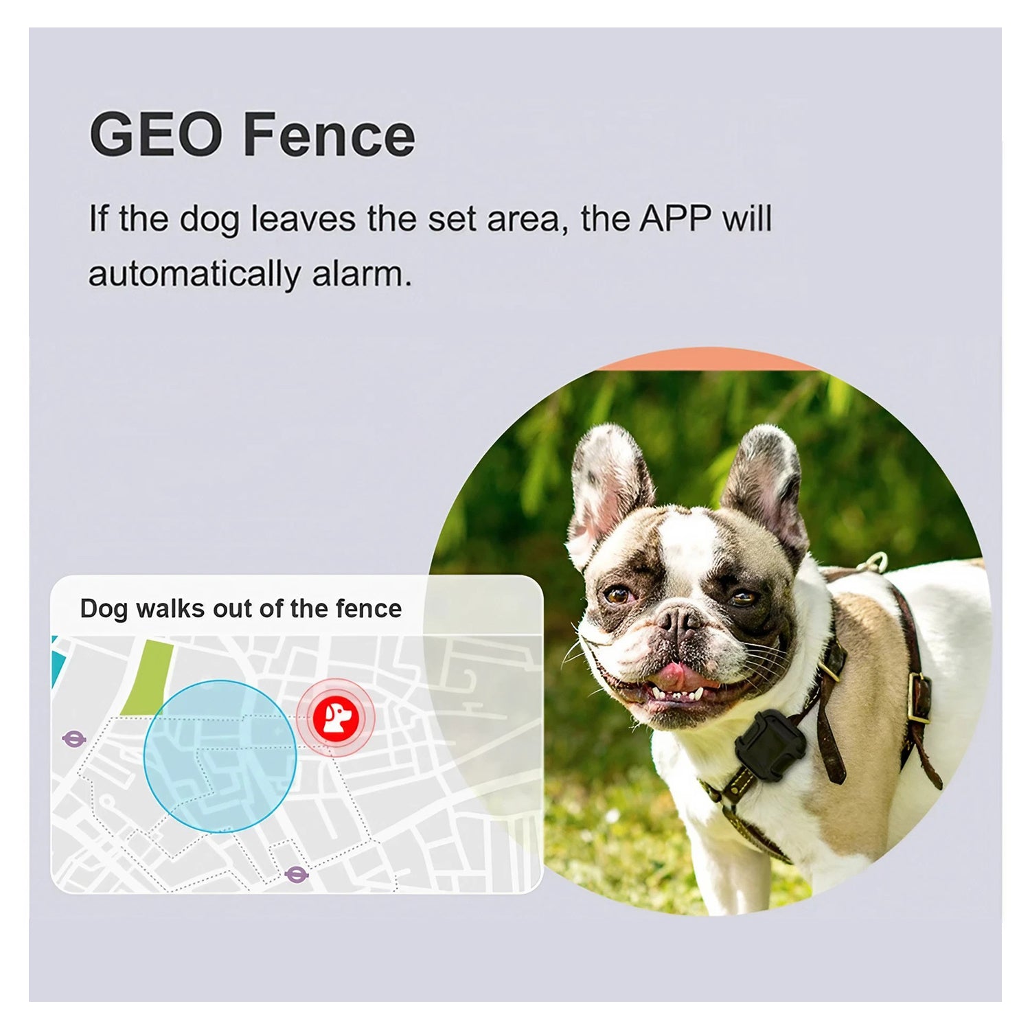 Pet GPS Tracker